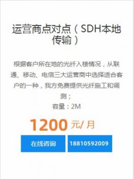 国内点对点传输